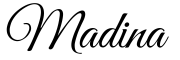 Logo website madina